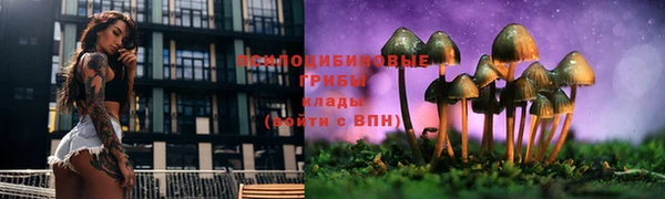 метадон Бородино